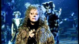 Grizabella The Glamour Cat  Elaine Paige HD from Cats the Musical  the film [upl. by Crawley]