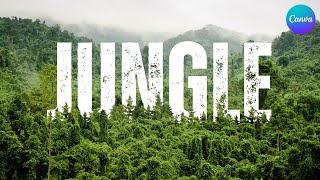 Jungle Text Effect Editing in Canva  Create Stunning NatureInspired Typography [upl. by Eiralam133]