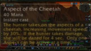 Hunter Tutorial The Hunters Toolkit Nostalrius  Elysium [upl. by Anastasie304]