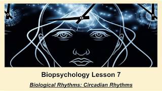 ALevel Psychology AQA Biopsychology  Circadian Rhythms [upl. by Buffy95]