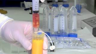 US Stem Cell Clinic How is Stem Cell Therapy Performed [upl. by Nnayllas]