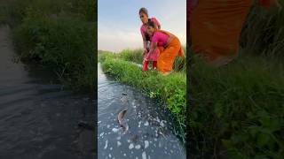 Unique Hook Fishing Video Using Sikol fishingmethods hookfishtrap fishingtechniques fishing [upl. by Aniar]