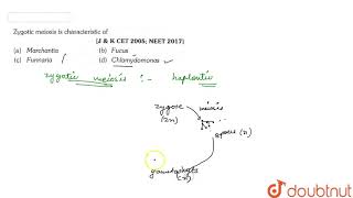 Zygotic meiosis is characteristic of [upl. by Kylila767]