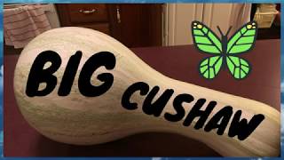 how to cook Cushaw [upl. by Lewap]