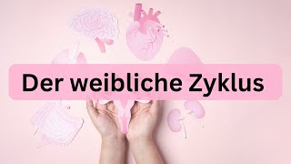 Der weibliche Zyklus  kurz erklärt [upl. by Jennie]