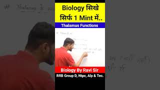 Parts Of Brain  Thalamus Function  Biology GK  Biology By Ravi Sir biology shorts yt gk [upl. by Orelu]