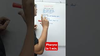 Pharynx in 1 min  pharynx medical neet science biology rinkeshpariyani education [upl. by Cornell424]