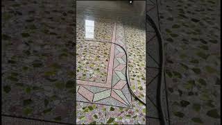 shorts shortvideo homeimprovement terrazzo floordesign floortiles [upl. by Bork380]