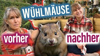 BlumenDEKO Herbst 🌹 Wühlmäuse im Garten 🐀  5 einmalblühende Rambler WURZELNACKT [upl. by Dori620]