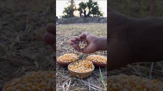 Popcorn 🍿 recipe masala Popcorn homemade shorts [upl. by Htennaj609]