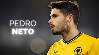 Pedro Neto  Season Highlights  2024 [upl. by Assile]