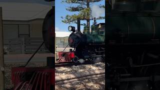 Semaphore Railway 18 inch Steam Locomotive Bill 300924 South Australia [upl. by Wappes]