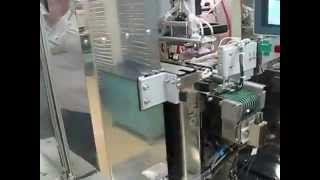 Fully Automatic Electrolysis Wet Blasting Deflash System [upl. by Notniuqal781]