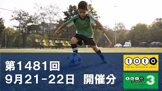 【toto】第1481回 toto予想 totoGOAL3予想も 【Jリーグ】 [upl. by Ehc]