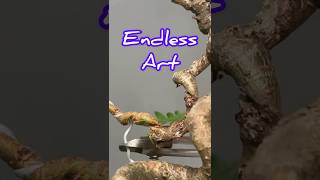 Making Bonsai Trees Is Like Educating Children [upl. by John]