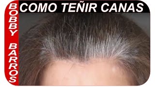 Como pintar las canas  Como teñir un cabello con canas [upl. by Schifra]