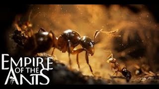 Empire of the Ants DemoNo Commentary [upl. by Meyeroff963]