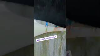 MOTI SAGAR DAM DHUWAN KALAN Tonk LIVE UPDATE 22082022 [upl. by Oludoet257]