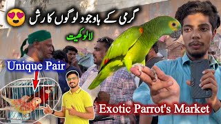 Rare amp Unique Exotic Parrots and Bird Market Karachi 2024 Latest Update in Urdu Hindi  Sunday Bazar [upl. by Aihsiek]