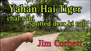 Yaha bhai tiger chal Rahi spotted deer ki call Jim Corbett ki video ￼ [upl. by Katz821]