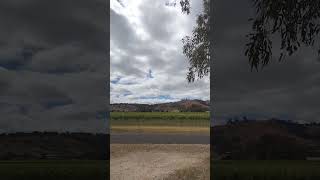 Barossa valley wineries 🍇barossavalley wineries grapes wildlife adelaide [upl. by Flo]