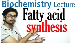 Fatty acid synthesis [upl. by Hnamik]