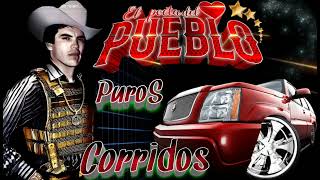 puros corridos perrones 💥 Chalino Sánchez el rey 👑 del corrido ✴️✴️ [upl. by Treblih]