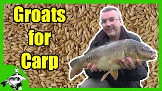 Preparing Groats for Carp Fishing [upl. by Elmer612]