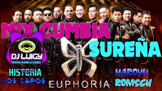 MIX cumbia sureña con sabor 2023 EUPHORIAHISTERIALOS CAPOS MAROYU  DJ LUIGY GALAMIXER [upl. by Eelirrem]