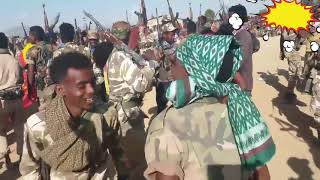 John Haftu in Tigray Defence Forces TDF song 2021 [upl. by Auhsoj4]