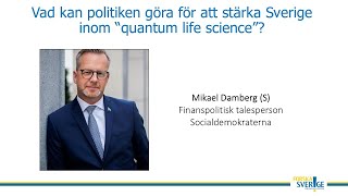 Mikael Damberg S finanspolitisk talesperson [upl. by Atal]