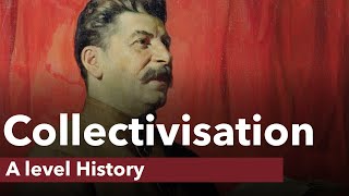 Collectivisation in the USSR  A level History [upl. by Ettezil]