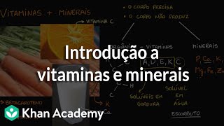 Introdução a vitaminas e minerais [upl. by Ednalrim]