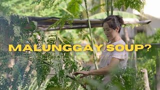 Harvesting Vegetables in Philippines to Cook Filipino Soup Dish Sinabawang Malunggay Recipe [upl. by Salb]