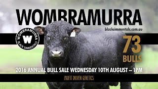 Wombramurra Black Simmentals Bull Sale Preview 2016 [upl. by Katrina]