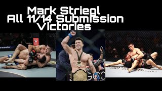 MARK STRIEGL  ALL 11 SUBMISSION OF 14 SUBMISSION VICTORIES [upl. by Desireah]