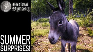 Summer Surprises  Medieval Dynasty Gameplay  EP 71 [upl. by Recor]