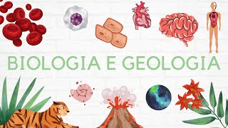 9 Geologia 10º ano  Estrutura interna da geosfera 🌎 [upl. by Rossing32]