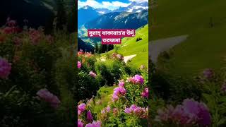 সুরাহ্ বাকারাহর ১৬৮ নং আয়াতের উর্দূ তরজমা। urdu [upl. by Eladnor498]