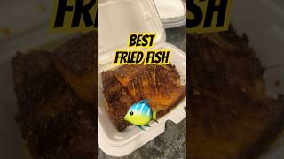 Fried Fish [upl. by Dora]