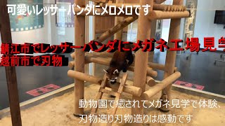 鯖江市で動物園とメガネ工場見学体験、越前市で刃物工場見学 [upl. by Leontine]