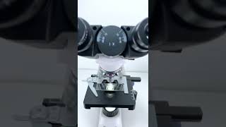 フィンダを400倍に拡大したのは本当にクールだ！microscope science [upl. by Acemat]