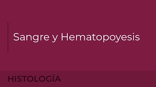 Histología Sangre y Hematopoyesis Cristina Álvarez Martínez [upl. by Aminta201]