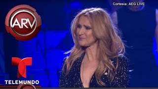 Celine Dion regresa a escenarios tras muerte de esposo  Al Rojo Vivo  Telemundo [upl. by Amaj]