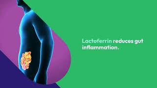 The Benefits of Lactoferrin Supplements for Gut Health and Nutrient Absorption [upl. by Harbard]