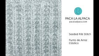 Seeded Rib Stitch [upl. by Sass789]