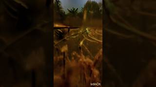 Waterproof test phoneshortvideos [upl. by Kelcy]