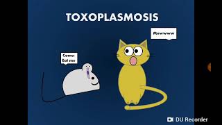 Toxoplasma gondii داء المقوسات داء القطط  التوكسوبلازما [upl. by Aryl]