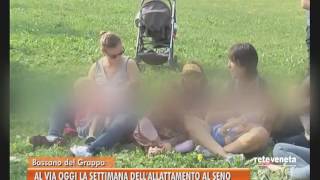 TG BASSANO 01102016  AL VIA OGGI LA SETTIMANA DELL’ALLATTAMENTO AL SENO [upl. by Ardnaeed632]