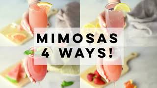 Mimosa Recipes  4 Ways [upl. by Marucci]